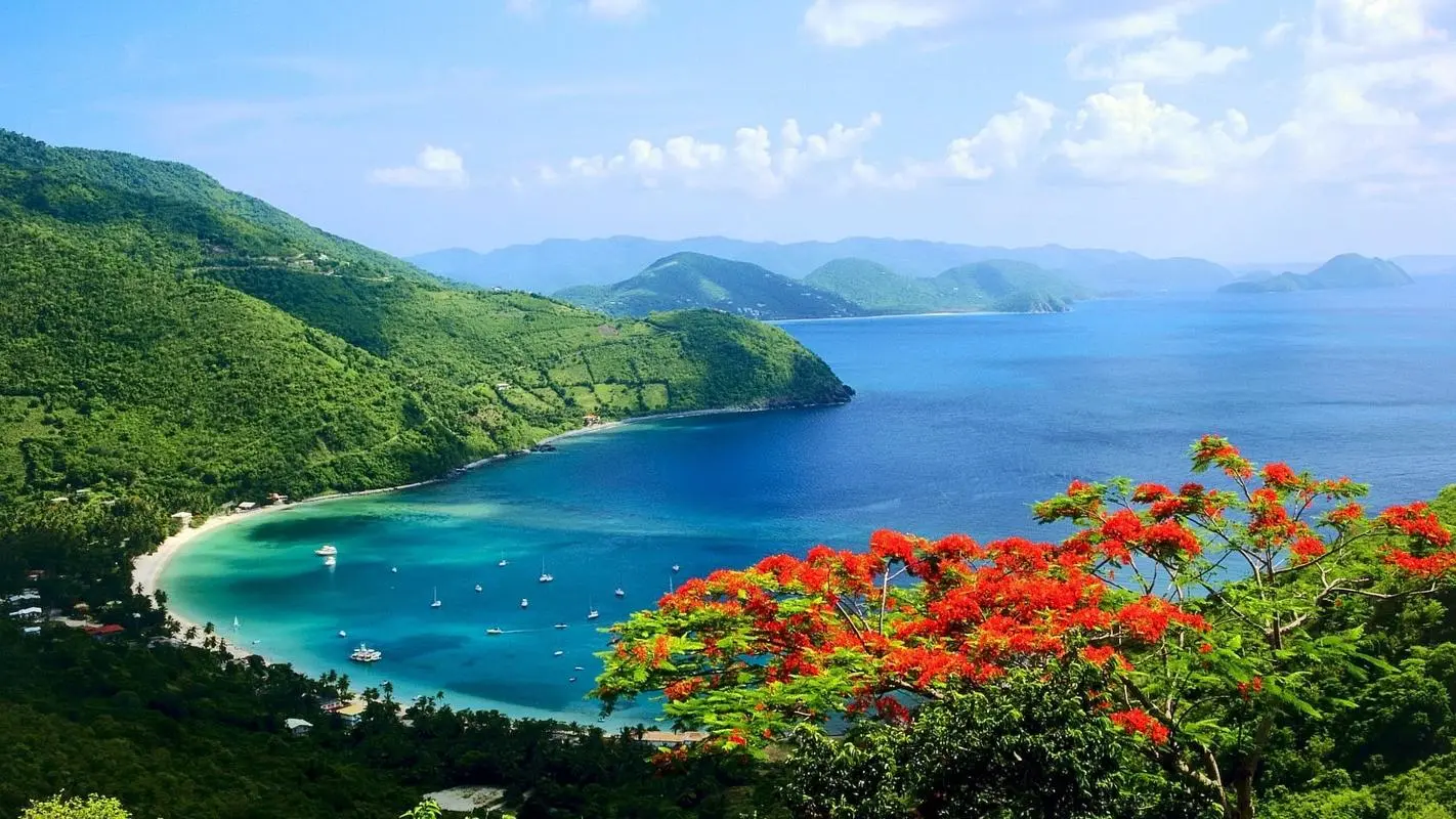 高端高效电子